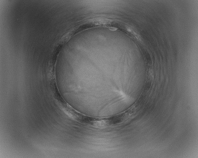 X0000074210411200609221946