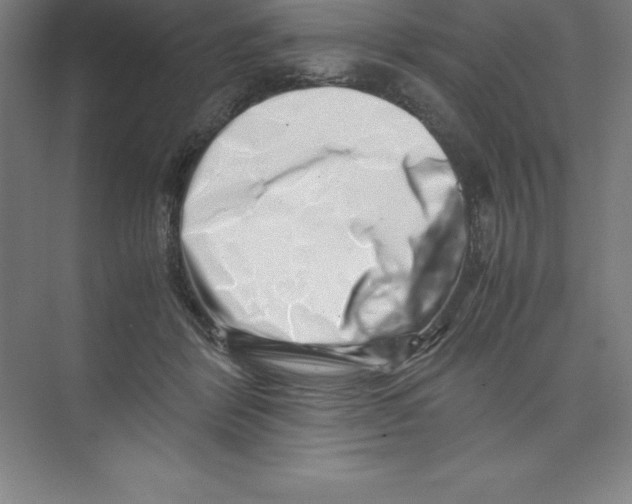 X0000074210412200609221946