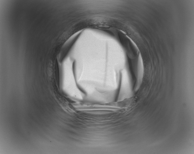 X0000074210413200609221946