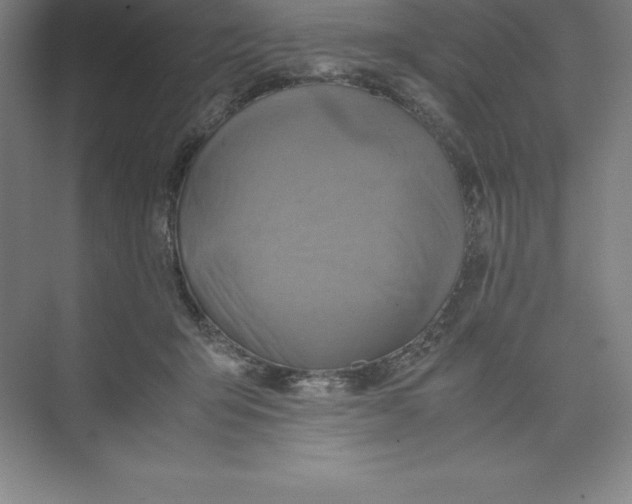 X0000074210415200609221946