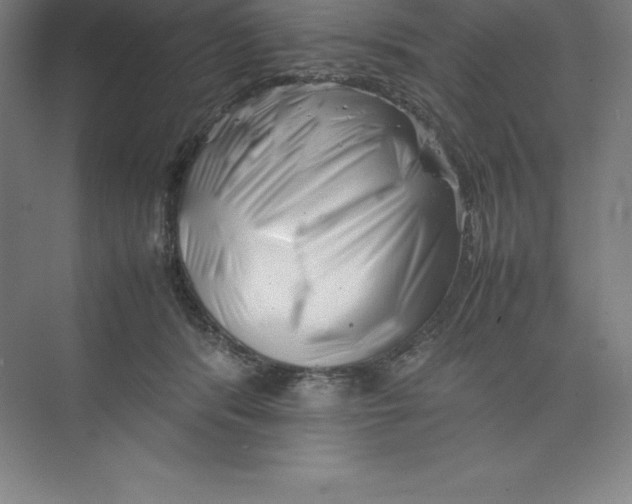 X0000074210416200609221946