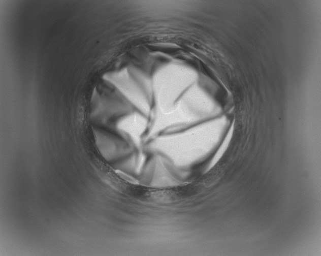 X0000074210417200609221946