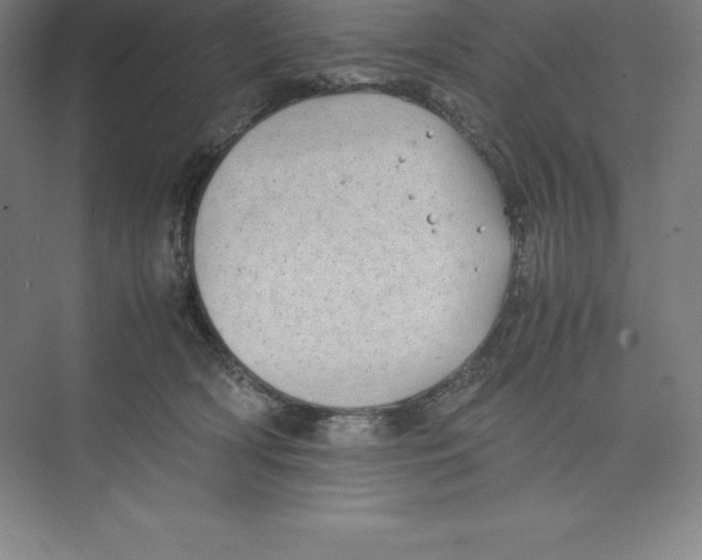 X0000074210418200609221946