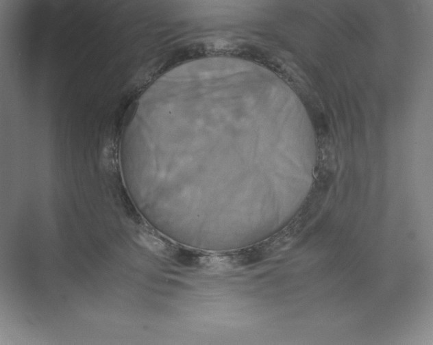 X0000074210419200609221946