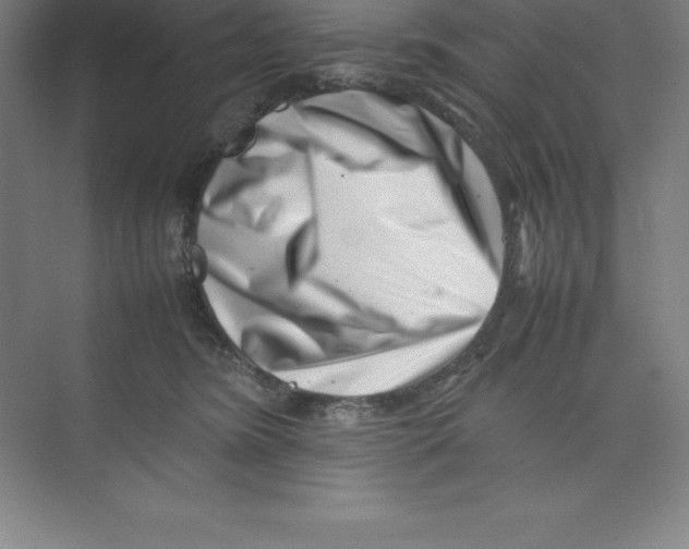 X0000074210420200609221946