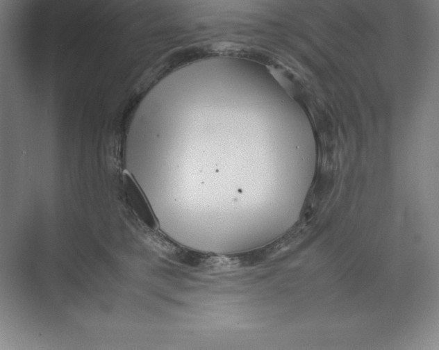 X0000074210421200609221946