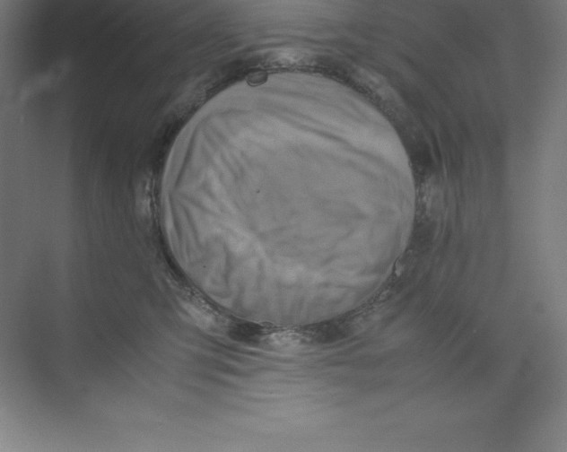 X0000074210423200609221946