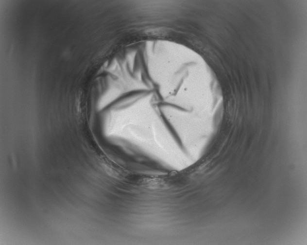 X0000074210424200609221946