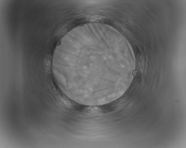 X0000074210427200609221946