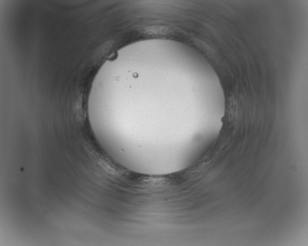 X0000074210428200609221946