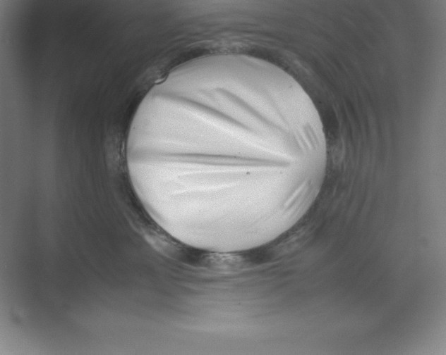 X0000074210429200609221946