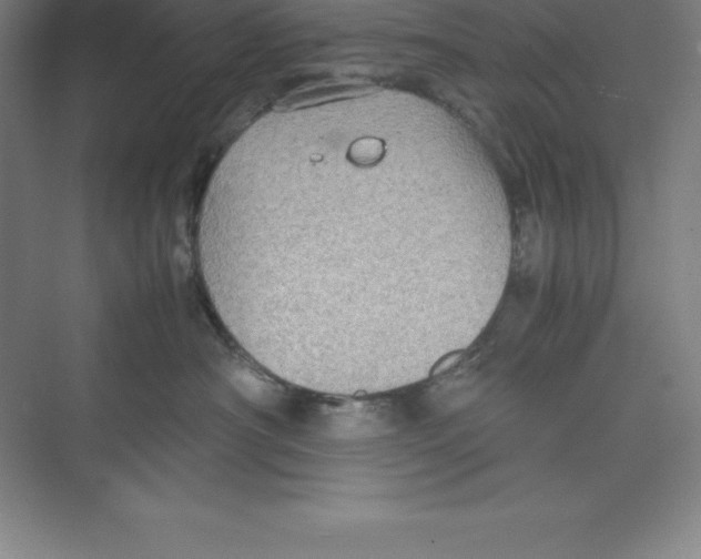 X0000074210430200609221946