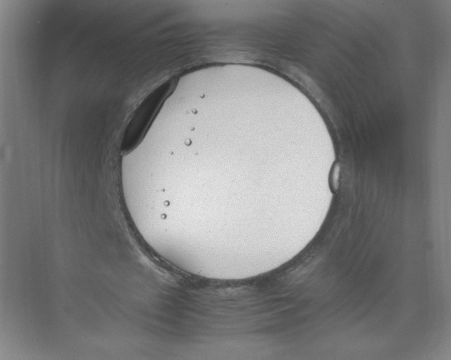 X0000074210433200609221945