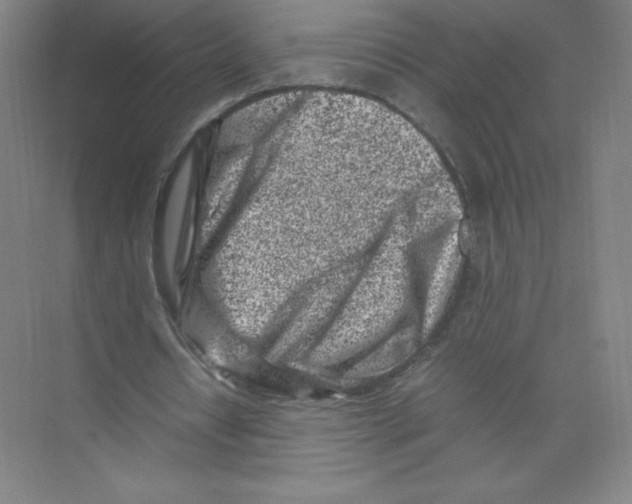 X0000074210434200609221945