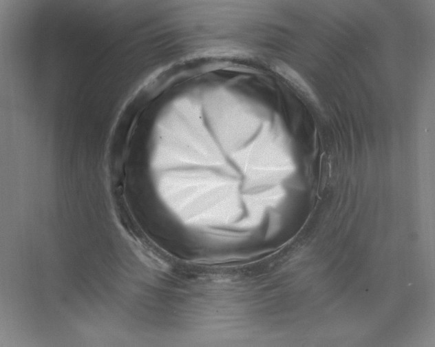 X0000074210436200609221945