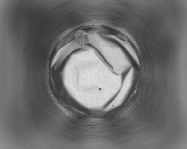 X0000074210437200609221945