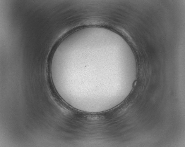 X0000074210439200609221945