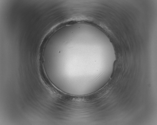 X0000074210440200609221945