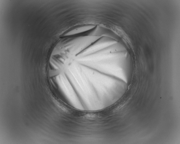 X0000074210441200609221945