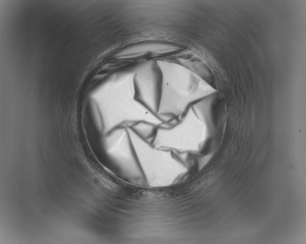 X0000074210442200609221945