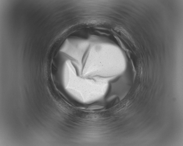 X0000074210444200609221945