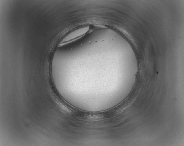 X0000074210445200609221945