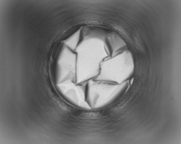 X0000074210449200609221946