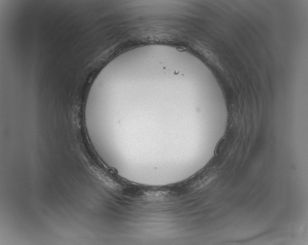 X0000074210450200609221946