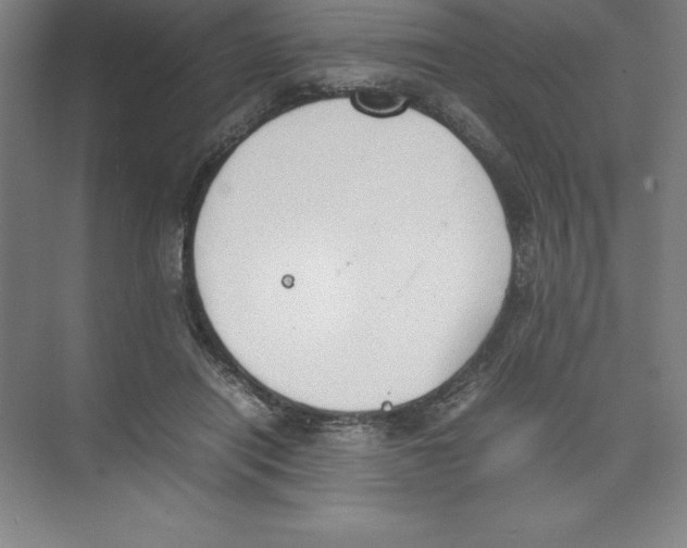 X0000074210454200609221946