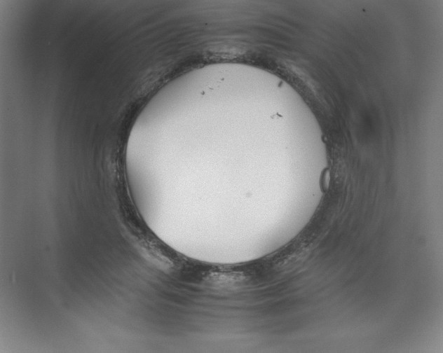 X0000074210455200609221946