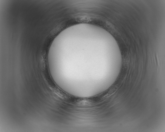 X0000074210460200609221946