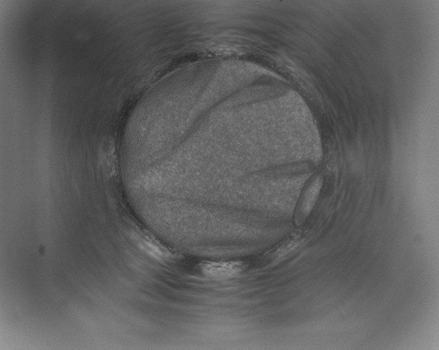 X0000074210465200609221946