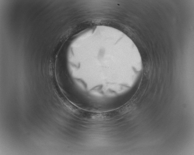 X0000074210470200609221946