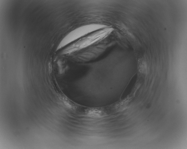 X0000074210471200609221946