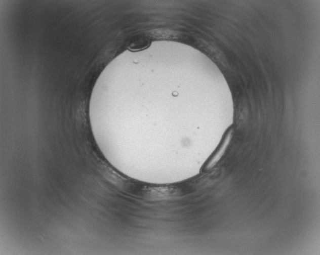 X0000074210473200609221946