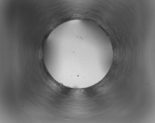 X0000074210474200609221946