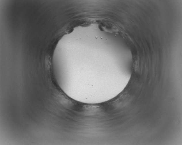 X0000074210476200609221946