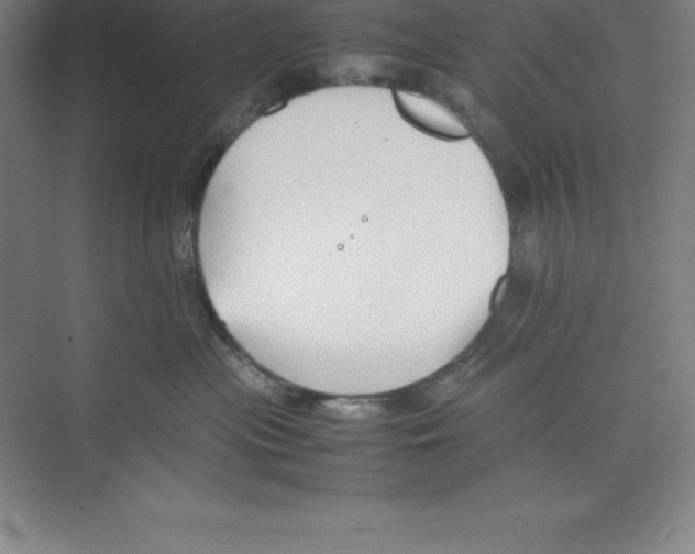 X0000074210477200609221946