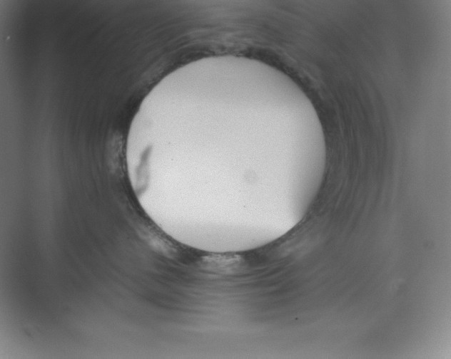 X0000074210480200609221946