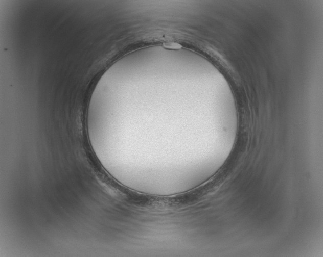 X0000074210489200609221945