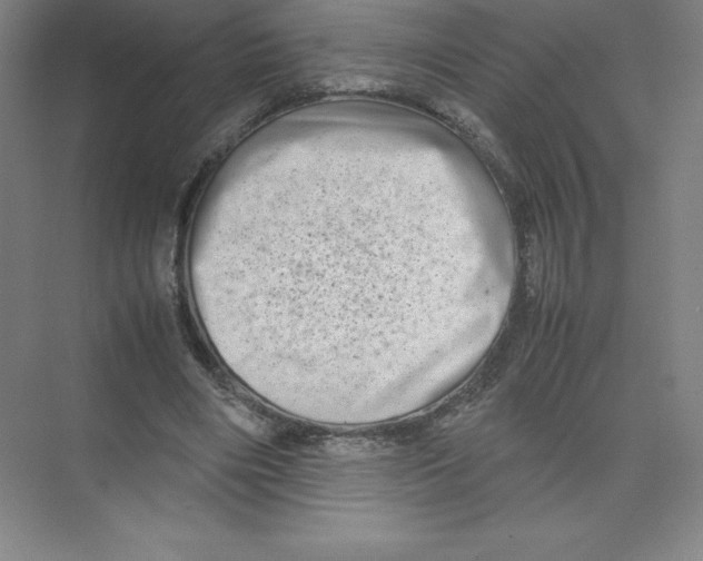 X0000074210490200609221945