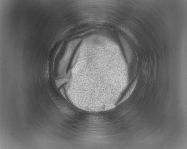 X0000074210494200609221945