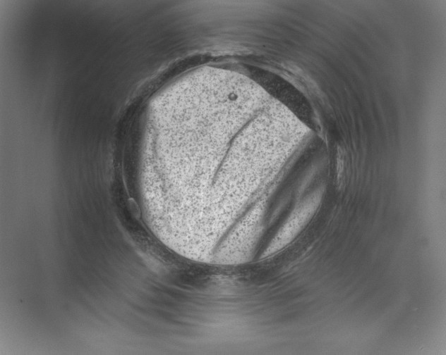 X0000074210496200609221945