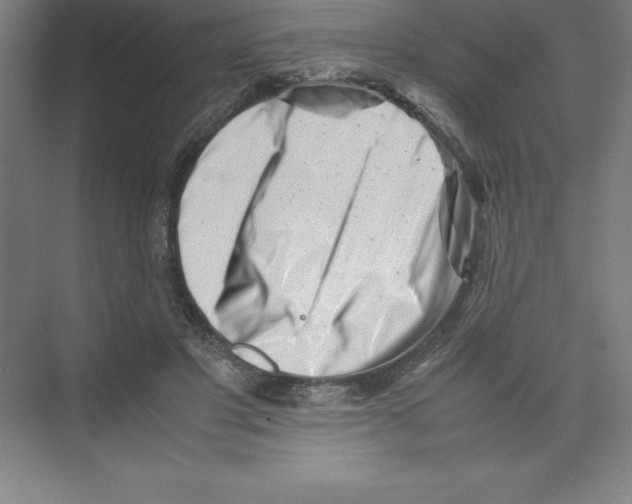 X0000074210501200609221945