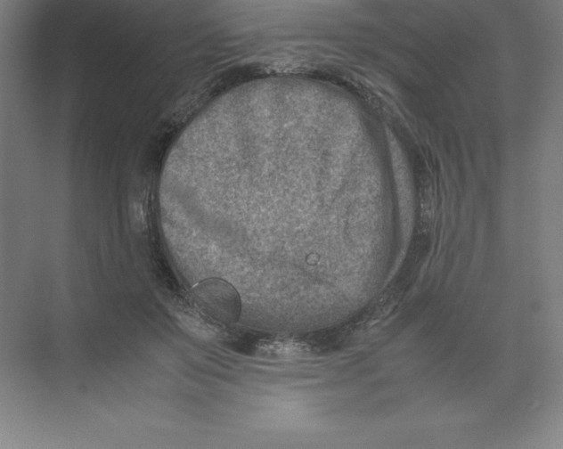 X0000074210503200609221945