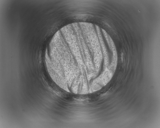 X0000074210504200609221945