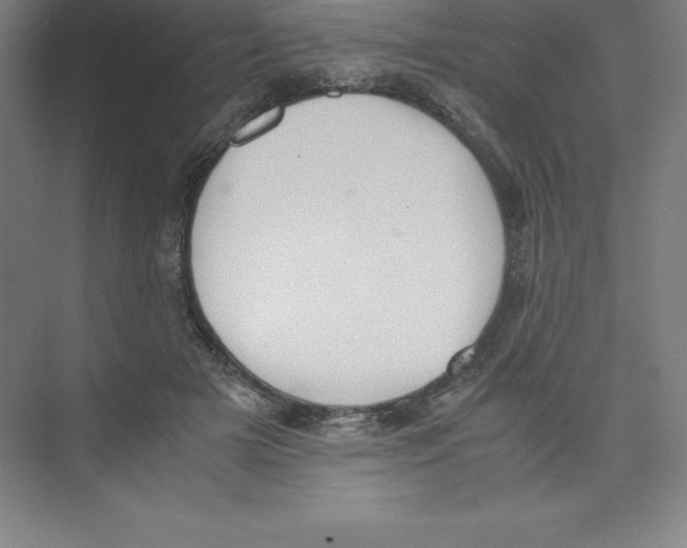 X0000074210505200609221945