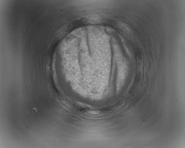 X0000074210507200609221945