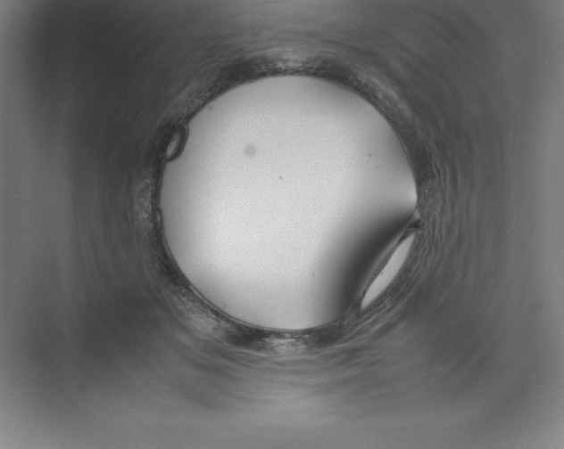 X0000074210509200609221945