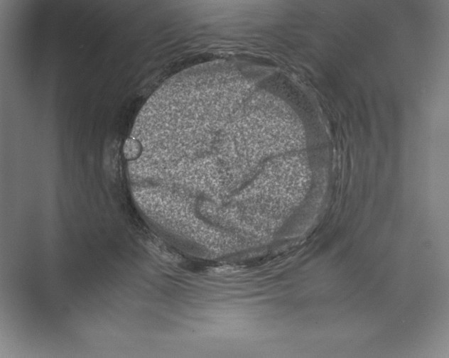 X0000074210511200609221945